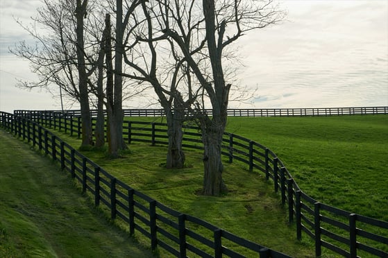 Image ALT Tag