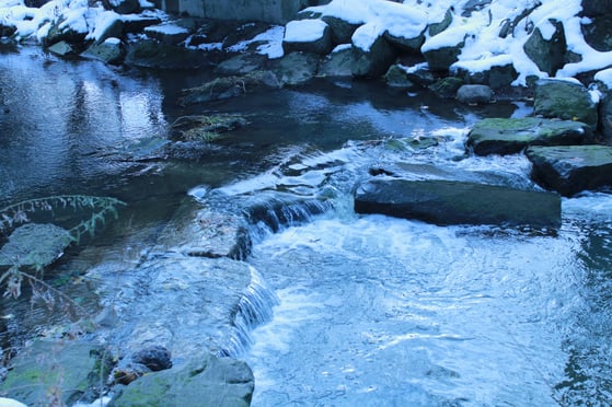 Image ALT Tag