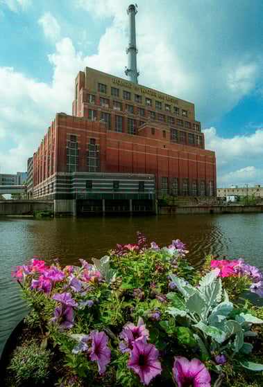 Image ALT Tag