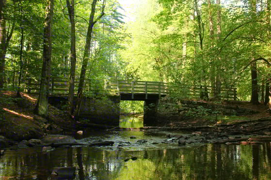 Image ALT Tag