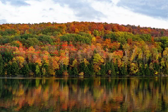 Vermont Answering Service